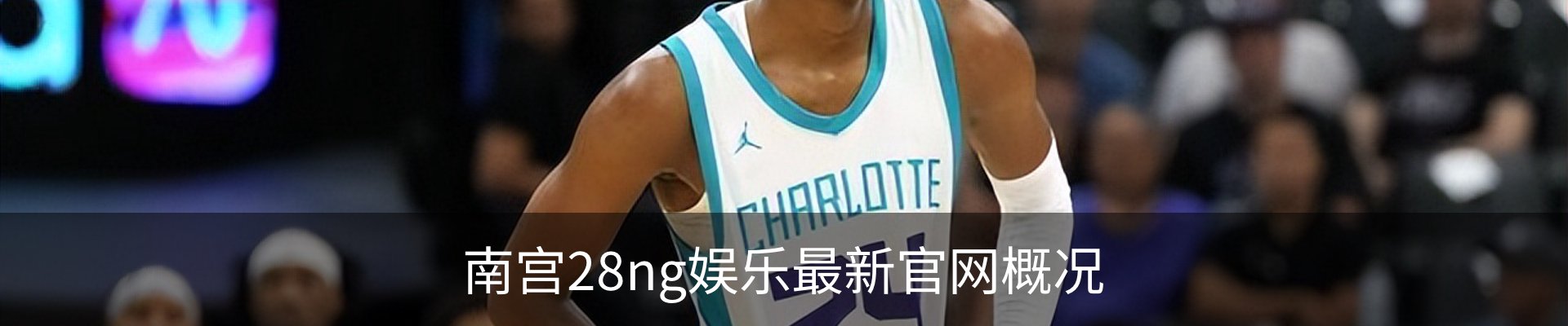 南宫28ng娱乐最新官网概况