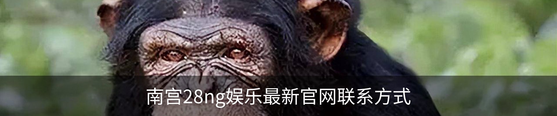 南宫28ng娱乐最新官网联系方式